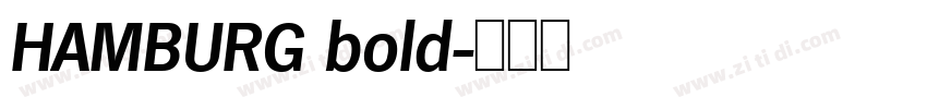 HAMBURG bold字体转换